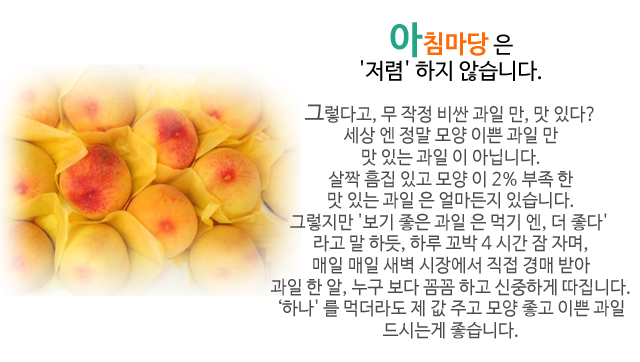 아침마당 과일가게 