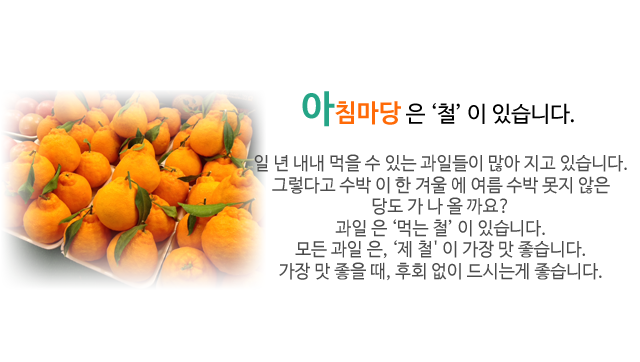 아침마당 과일가게 
